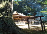 日枝神社