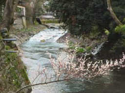 修善寺温泉