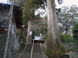 修善寺温泉　日枝神社